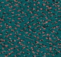 Ковролин Balsan Zenith Roll 256 фото 1 | FLOORDEALER